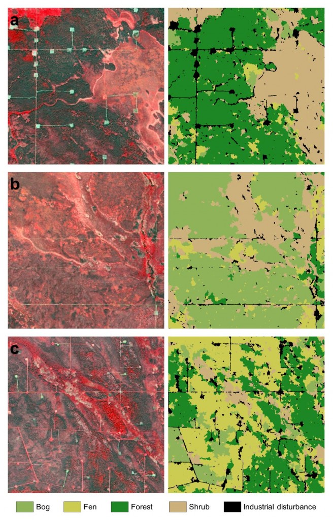 SPOT5 imagery (left) and corresponding classification (right) for locations with (a) clearly defined industrial disturbances in a forest and shrub dominated landscape; (b) industrial disturbances in a bog and shrub dominated landscape; and (c) a fragmented landscape and many instances of industrial disturbances at various stages of recovery. The locations a1, b1, and c1 represent areas where there was confusion observed in identifying industrial disturbances.