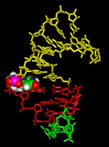 Molecule