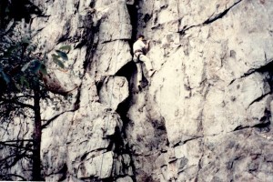 mcgavran_rock climbing