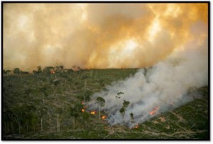 amazon-deforestation-greenpeace