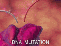 dna-mutation-o