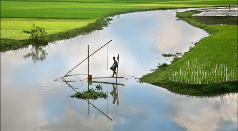 http://en.wikipedia.org/wiki/File:Bangladesh_Fishing_2006.jpg