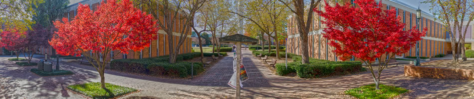 Photo of campus